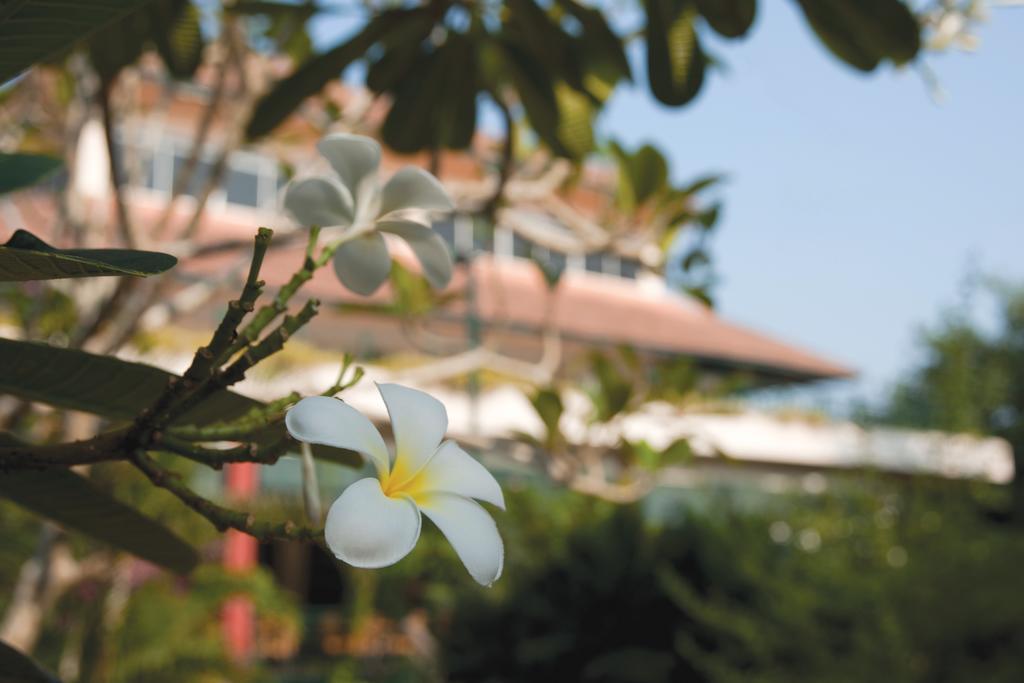 The Qamar Paka, Terengganu Hotel Bagian luar foto
